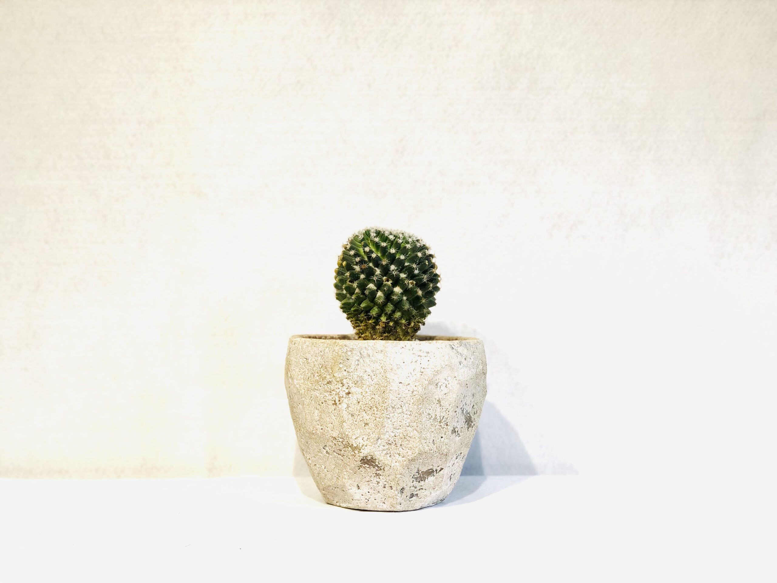 Mamiraria-getsu-sei-scaled